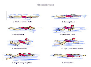 breaststroketechique.jpg