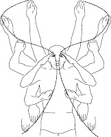 DrawingButterflyPulling.jpg